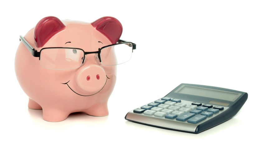 Pig with Calculator